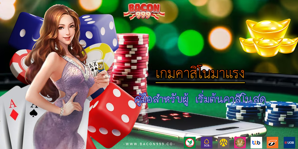 คู่มือสำหรับผู้ เริ่มต้นคาสิโนสด