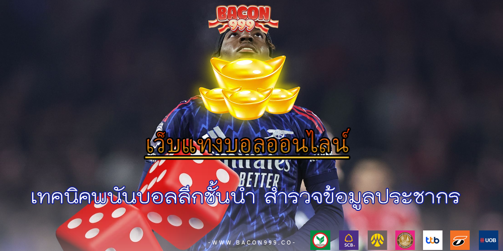 เทคนิคพนันบอลลีกชั้นนำ สำรวจข้อมูลประชากร